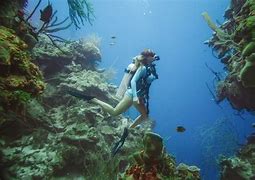 Dive into the Depths: The Blue Hole, Belize ✨ 2 Scuba diver under the ocean near coral reef with fish.