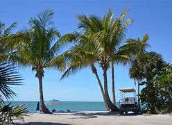 A sandy beach with lifeguard station and palm trees near the ocean.