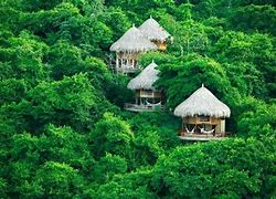 Venezuela’s Canaima National Park Eco-Lodges: Glamping Beneath Angel Falls 3 Four Glamping structures in the Amazon Rainforest of Venezuela.