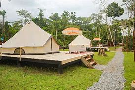 several glamping structures on platforms with trees and umbrellas
