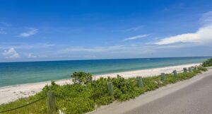 Egmont Key: History, Wildlife & Secluded Beaches at The Egmont Key 1 sandy beach with vegetation next to the ocean on a partly cloudy day.