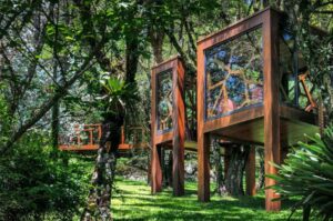 Glamping Tree houses in a rainforest of South America.