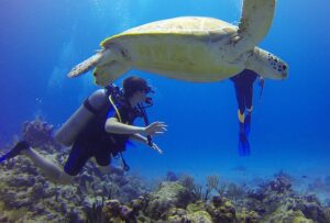 Grand Cayman: Walls, Wrecks & Wonders — Cayman Islands 2 Scuba diver with turtle in the ocean with coral.