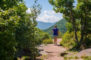 Catskill Mountains, NY: Hiking, Camping & Nature Adventures 2 Person walking along a forest path surrounded by tall trees and greenery.