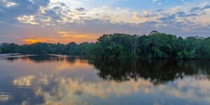 Lake in a rainforest sat sunset.