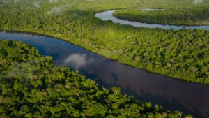 Amazon Rainforest, Brazil: Immersive Glamping in Th e World’s Largest 1 Amazon rainforest with a river with many trees