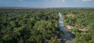 Brazil’s Rainforest Domes Near Manaus: A Luxury Amazon Glamping Experience 1 Buildings in a rainforest with a river flowing through