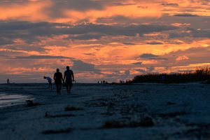 Longboat Key: Tranquil Beaches & Upscale Charm on Florida’s Gulf Coast 3 Silhouettes of visitors enjoying a scenic beach walk at sunset beneath dramatic orange and pink clouds, with sandy dunes and coastal vegetation along the shoreline.