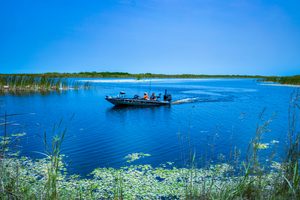 Small motorboat carrying passengers across bright blue Florida coastal waters, surrounded by marsh grasses, aquatic vegetation, and peaceful wetlands beneath a clear blue sky.