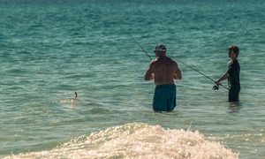 Longboat Key: Tranquil Beaches & Upscale Charm on Florida’s Gulf Coast 8 Two people wade fishing in clear turquoise coastal waters, holding fishing rods as a hooked fish jumps above the surface near the sandy shoreline.