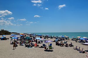 Longboat Key: Tranquil Beaches & Upscale Charm on Florida’s Gulf Coast 2 Wide sandy beach filled with colorful umbrellas, beach chairs, and vacationers enjoying a sunny day beside the calm Gulf Coast waters.
