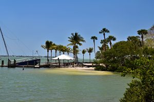 Caladesi Island State Park: A Hidden Paradise Near Clearwater Beach 1 Scenic tropical waterfront with palm trees, turquoise-green water, a boat dock, and lush coastal vegetation near Florida's Gulf Coast.