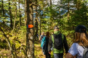 Adirondack Park, NY: A Wilderness Adventure of Mountains, Lakes 2 Group of hikers carrying backpacks along a marked woodland trail surrounded by tall evergreen trees, moss-covered rocks, and lush green vegetation, illustrating hiking adventures in Adirondack Park, New York.
