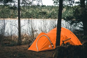 Adirondack Park, NY: A Wilderness Adventure of Mountains, Lakes 5 Bright orange camping tent pitched beneath tall pine trees beside a peaceful lake, surrounded by woodland scenery, illustrating a quiet wilderness camping experience in the Adirondack Mountains of New York.