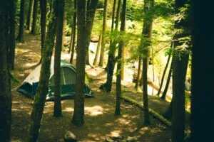 Harriman State Park, NY: Lakes, Trails & Wilderness Just Outside NYC ✨ 3 Tent campsite surrounded by tall trees and peaceful woodland at Harriman State Park, New York.