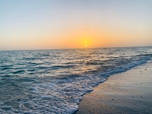 Longboat Key: Tranquil Beaches & Upscale Charm on Florida’s Gulf Coast 4 Golden sunset over the Gulf Coast, with gentle ocean waves rolling onto a sandy beach beneath a warm orange and pastel-colored sky.