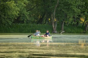 Adirondack Park, NY: A Wilderness Adventure of Mountains, Lakes 6 Two people paddling a green canoe across calm water surrounded by lush green forests and dense shoreline vegetation, illustrating peaceful canoeing and outdoor adventures in Adirondack Park, New York.