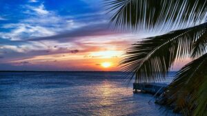 Sunset with palm trees and leaves at the ocean and a partly cloudy day.