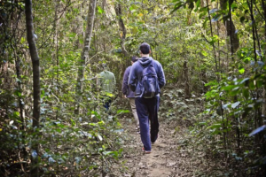 Hikers walking along a narrow forest trail surrounded by dense Atlantic Forest vegetation in Serra da Cantareira near São Paulo, Brazil.