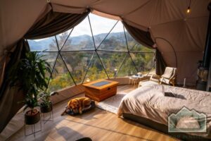 Nature Domes In Lunahuaná Valley 3 Inside a glamping dome with a bed a dog and coffee table a chair and a plant with large windows.