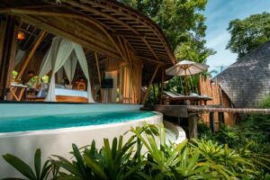 Glamping yurt with a wooden deck, outdoor chair, and sauna, surrounded by lush vegetation and trees.