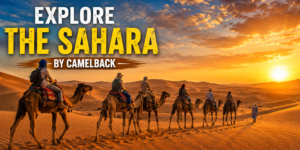 Travelers riding camels across golden Sahara Desert dunes in Egypt during a colorful sunset.