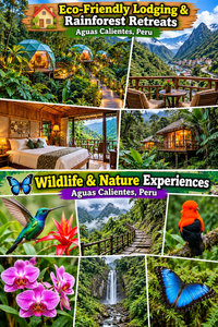 Colorful vertical collage illustrating eco-friendly lodging and wildlife experiences near Aguas Calientes, Peru. Images feature rainforest glamping domes, a mountain-view balcony, a cozy wooden lodge bedroom, jungle cabins, a colorful hummingbird, an Andean cock-of-the-rock, tropical orchids, a blue butterfly, and lush cloud forest scenery with a waterfall.