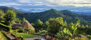 Casa De Adobe Eco-Lodge: Sustainable Luxury in the Heart of South America 1 Building with a lawn with palm trees and vegetation with mountains