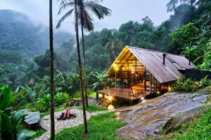 Glamping hut on a raised platform in a rainforest, surrounded by lush vegetation and distant mountains.