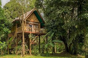 🌿 Adventure Jungle Camp: Immersive Wilderness Glamping Near Iguazu Falls 2 Tree house camp in a rainforest with a porch.