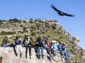 People at a canyon with an Andeon Condor flying over head with a mountain.