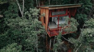 Glamping treehouse elevated in the rainforest canopy, surrounded by lush tropical trees.