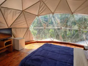 Atlantic Forest Safari Tents in Juquitiba: Luxury Glamping Amidst Nature 3 Interior of a geodesic glamping dome featuring a comfortable bed, wooden flooring, television, and large panoramic windows overlooking the surrounding forest in Juquitiba, Brazil.