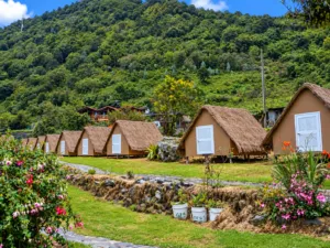 Glamping on the Inca Trail, Peru: Luxury Meets Adventure 3 Row of rustic thatched-roof cabins surrounded by colorful gardens and a lush forested mountain landscape.