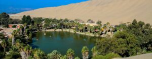 An Oasis with Palm trees in a desert with sand dunes