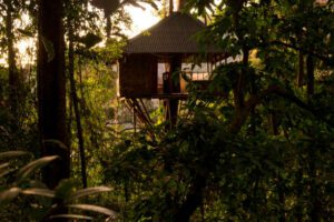 🌿 Adventure Jungle Camp: Immersive Wilderness Glamping Near Iguazu Falls 3 Tree house in a rainforest camp.