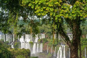 Panoramic view of Iguazú Falls with cascading waterfalls surrounded by lush tropical rainforest.