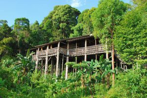 Structure in a rainforest high up in the trees with a porch on stilts.