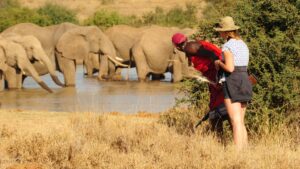 Two people looking at elephants in the plains of Africa with water and trees.