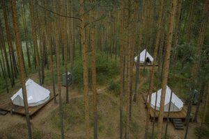 Highland Glamping in Antioquía, Peru: Mountain Retreats & Scenic Adventures 4 Aerial view of three white luxury glamping tents on raised wooden decks surrounded by tall pine trees, forest greenery, and winding nature trails.