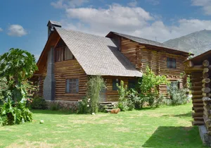 Large rustic log cabin with a steep shingled roof, stone chimney, wooden walls, and multiple windows, surrounded by a green lawn, flowering plants, and mountains beneath a partly cloudy blue sky.