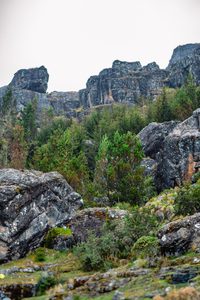 Towering gray rock formations surrounded by green shrubs, moss-covered boulders, and mountain vegetation beneath an overcast sky, illustrating rugged stone forest scenery and changing weather conditions.