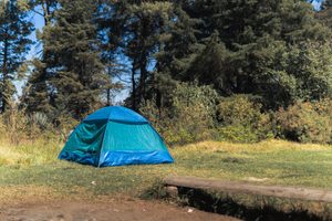 Blue and turquoise dome camping tent pitched on a grassy clearing surrounded by tall trees, bushes, and natural vegetation, illustrating a peaceful traditional tent camping experience.