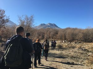 Group of hikers carrying backpacks and trekking poles walking along a rocky mountain trail surrounded by dry vegetation, with distant mountain peaks and a clear blue sky.