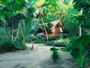 Eco Lodge Sangalle – Tranquil Retreat in Colca Canyon's Oasis 3 Rustic eco lodge surrounded by lush tropical palms and dense greenery, offering a peaceful nature retreat.