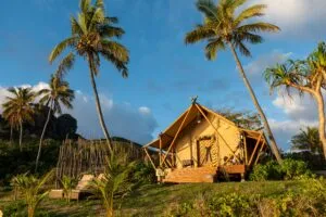 Safari-style glamping tent surrounded by palm trees and tropical vegetation in a peaceful coastal setting.