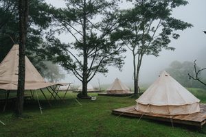Highland Glamping in Antioquía, Peru: Mountain Retreats & Scenic Adventures 3 Cream-colored glamping tents on wooden platforms surrounded by tall forest trees, green grass, and soft morning mist in a peaceful nature retreat.