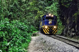 Blue-and-yellow locomotive traveling along railway tracks through dense green cloud forest vegetation, with a rocky cliff beside the tracks on the route toward Machu Picchu, Peru.
