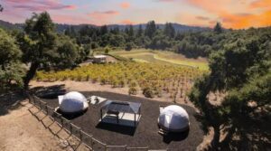 Itupeva Vineyard Glamping: Wine Country Comfort Near São Paulo 1 Two Domes with a picnic table with a roof and as field of grape vineyards with trees at a distance.