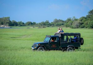 Eourists standing on back of truck in a green field